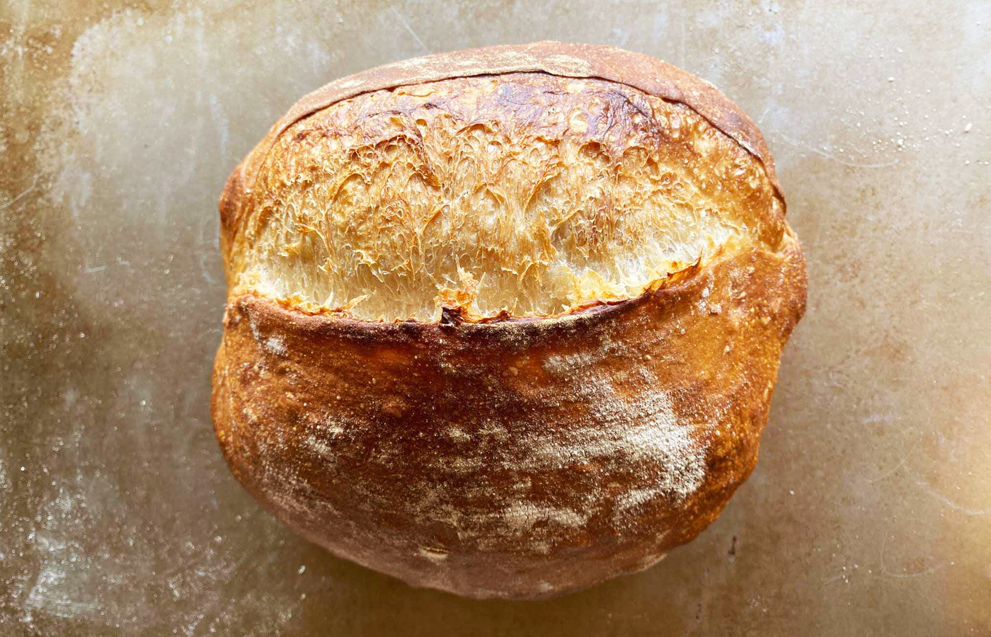 強力粉（品種：キタノカオリ）：パン用小麦